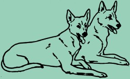 Literacy International: When The Dogs  Did Not Bark