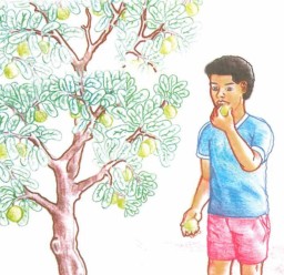 Poem - A Trivial Sin