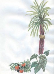 Poem - Plants