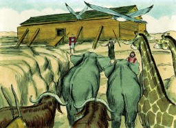 Reader 4:    Noah's story
