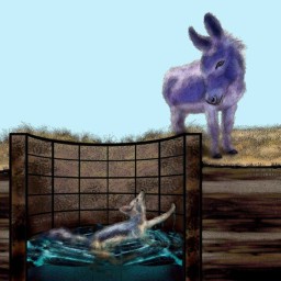Sly Jackal Tricks the Silly Donkey