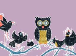 The Day of an Owl