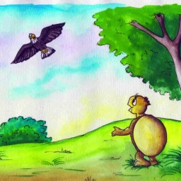 The Tortoise and The Weaverbird