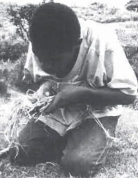 Traditional Firemaking