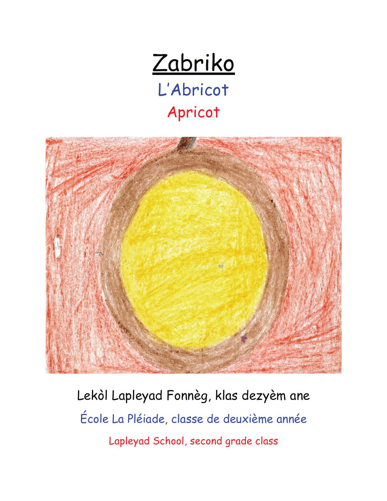 Zabriko