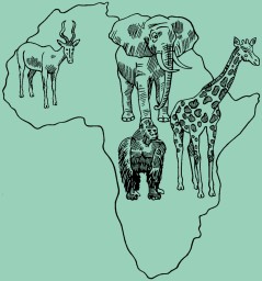 Les animaux de brousse