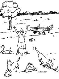 Les animaux sauvages