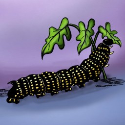 (1-3) Little Caterpillar