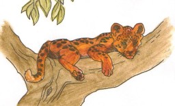 007 Leopards Kill