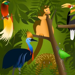 4f Animals in Papua New Guinea
