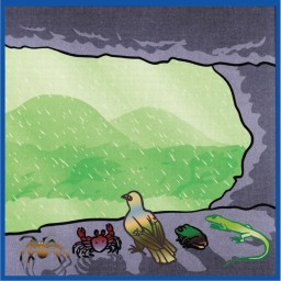 A Hurricane is Coming