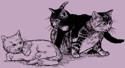 Cats and Kittens