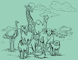 Count Animals
